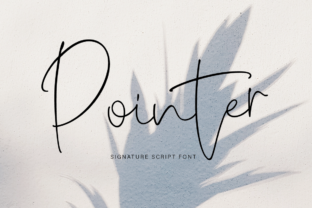 The Pointer Font: A Script Handwritten Choice for Creative Branding
